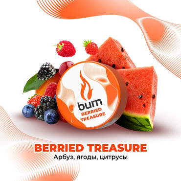 Burn Berrid Treasure (Беррид Трэжэр), 25 гр.  - Табак для кальяна