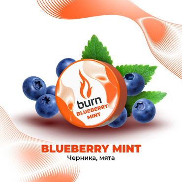 Burn Blueberry Mint (Блюберри Минт), 25 гр. - Табак для кальяна