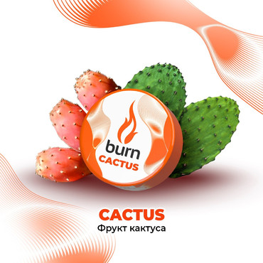 Burn Cactus (Кактус), 25 гр. - Табак для кальяна