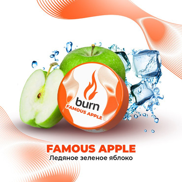 Burn Famous Apple (Фэмоус Эйпл), 25 гр. - Табак для кальяна