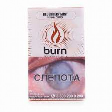 Burn Blueberry Mint (Блюбери Минт), 100 гр.  - Табак для кальяна