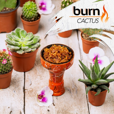Burn Cactus (Кактус), 200 гр. - Табак для кальяна